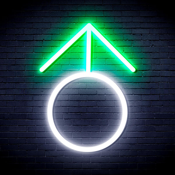 ADVPRO Male Symbol Ultra-Bright LED Neon Sign fnu0068 - White & Green