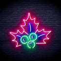 ADVPRO Christmas Holly Leaves Ultra-Bright LED Neon Sign fnu0090 - Multi-Color 9