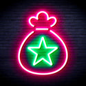 ADVPRO Snata Claus Bag Ultra-Bright LED Neon Sign fnu0104 - Green & Pink