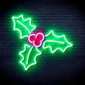 ADVPRO Christmas Holly Ultra-Bright LED Neon Sign fnu0158 - Green & Pink