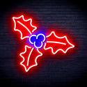 ADVPRO Christmas Holly Ultra-Bright LED Neon Sign fnu0158 - Red & Blue