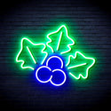 ADVPRO Christmas Holly Ultra-Bright LED Neon Sign fnu0165 - Green & Blue
