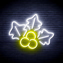 ADVPRO Christmas Holly Ultra-Bright LED Neon Sign fnu0165 - White & Yellow