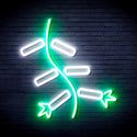 ADVPRO Firecracker Ultra-Bright LED Neon Sign fnu0185 - White & Green