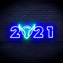 ADVPRO 2021 with OX Head Ultra-Bright LED Neon Sign fnu0243 - Green & Blue