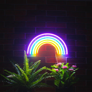 ADVPRO Rainbow Ultra-Bright LED Neon Sign fnu0252
