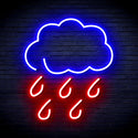 ADVPRO Raining Cloud Ultra-Bright LED Neon Sign fnu0259 - Blue & Red