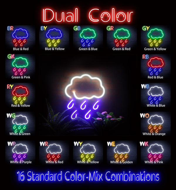 ADVPRO Raining Cloud Ultra-Bright LED Neon Sign fnu0259 - Dual-Color