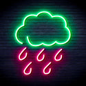ADVPRO Raining Cloud Ultra-Bright LED Neon Sign fnu0259 - Green & Pink