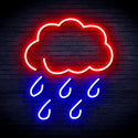 ADVPRO Raining Cloud Ultra-Bright LED Neon Sign fnu0259 - Red & Blue