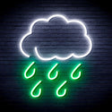 ADVPRO Raining Cloud Ultra-Bright LED Neon Sign fnu0259 - White & Green