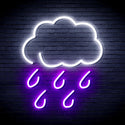 ADVPRO Raining Cloud Ultra-Bright LED Neon Sign fnu0259 - White & Purple
