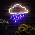 ADVPRO Raining Cloud Ultra-Bright LED Neon Sign fnu0260