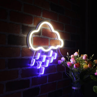 ADVPRO Raining Cloud Ultra-Bright LED Neon Sign fnu0260