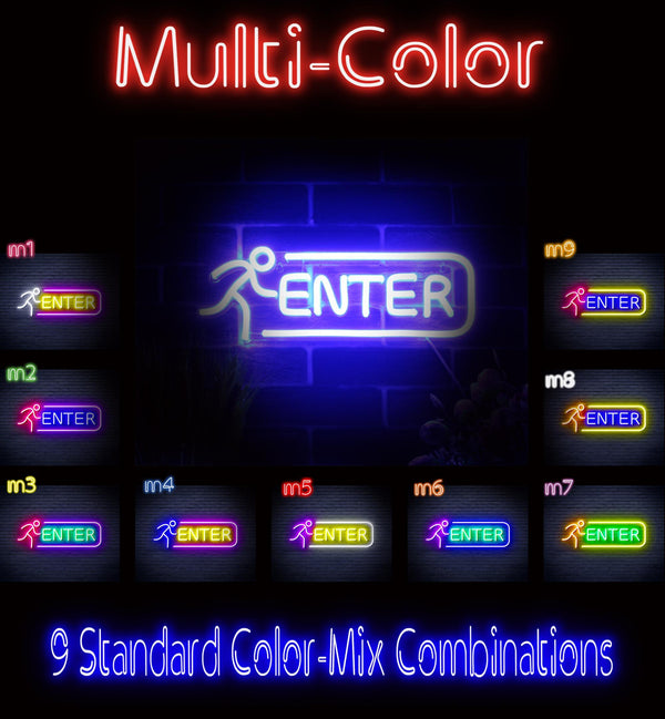 ADVPRO ENTER SIGN Ultra-Bright LED Neon Sign fnu0318 - Multi-Color