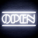 ADVPRO OPEN Sign Ultra-Bright LED Neon Sign fnu0319 - White