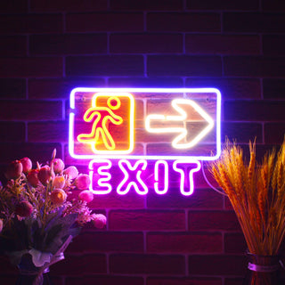 ADVPRO Exit Sign Ultra-Bright LED Neon Sign fnu0344