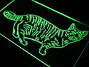 ADVPRO Cat Kitty Home Pet Display Love Neon Light Sign st4-j712 - Green
