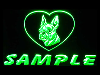 ADVPRO Name Personalized Custom Boston Terrier Dog House Home Neon Sign st4-vc-tm - Green