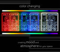ADVPRO Dia De Los Muertos Tabletop LED neon sign st5-j5084 - Color Changing