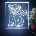 ADVPRO Pug Personalized Tabletop LED neon sign st5-p0091-tm - White
