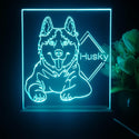 ADVPRO Husky Personalized Tabletop LED neon sign st5-p0095-tm - Sky Blue