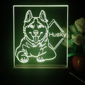 ADVPRO Husky Personalized Tabletop LED neon sign st5-p0095-tm - Yellow
