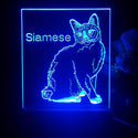 ADVPRO Siamese Personalized Tabletop LED neon sign st5-p0096-tm - Blue