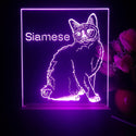 ADVPRO Siamese Personalized Tabletop LED neon sign st5-p0096-tm - Purple