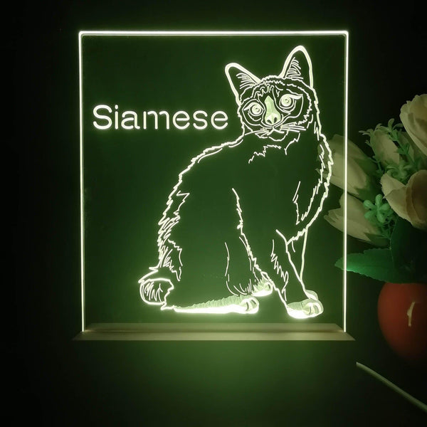 ADVPRO Siamese Personalized Tabletop LED neon sign st5-p0096-tm - Yellow