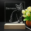 ADVPRO Siamese Personalized Tabletop LED neon sign st5-p0096-tm - 7 Color