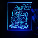 ADVPRO Long Hair Yorkshire Terrier Personalized Tabletop LED neon sign st5-p0099-tm - Blue