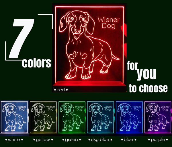 ADVPRO Wiener Dog Personalized Tabletop LED neon sign st5-p0100-tm