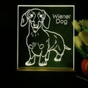 ADVPRO Wiener Dog Personalized Tabletop LED neon sign st5-p0100-tm - Yellow