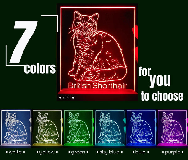 ADVPRO British Shorthair Personalized Tabletop LED neon sign st5-p0102-tm