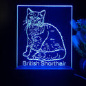 ADVPRO British Shorthair Personalized Tabletop LED neon sign st5-p0102-tm - Blue