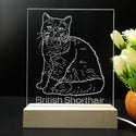 ADVPRO British Shorthair Personalized Tabletop LED neon sign st5-p0102-tm - 7 Color