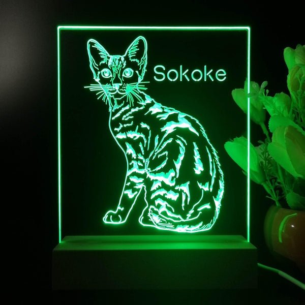 ADVPRO Sokoke  Personalized Tabletop LED neon sign st5-p0103-tm - Green
