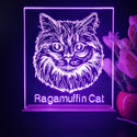 ADVPRO Ragamuffin Cat Personalized Tabletop LED neon sign st5-p0104-tm - Purple
