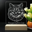 ADVPRO Ragamuffin Cat Personalized Tabletop LED neon sign st5-p0104-tm - 7 Color