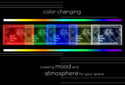 ADVPRO God bless you Tabletop LED neon sign st5-j5074 - Color Changing