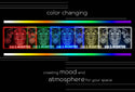 ADVPRO Dia De Los Muertos Tabletop LED neon sign st5-j5084 - Color Changing