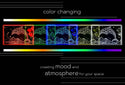 ADVPRO Dolphin in graphic format Tabletop LED neon sign st5-j5092 - Color Changing