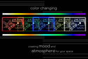 ADVPRO Ocean  series - golden fish Tabletop LED neon sign st5-j5103 - Color Changing