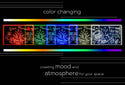 ADVPRO Home ba with 5 beers Personalized Tabletop LED neon sign st5-p0003-tm - Color Changing