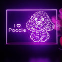 ADVPRO Poodle Personalized Tabletop LED neon sign st5-p0092-tm - Purple