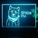 ADVPRO Shiba Inu Personalized Tabletop LED neon sign st5-p0093-tm - Sky Blue