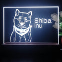 ADVPRO Shiba Inu Personalized Tabletop LED neon sign st5-p0093-tm - White