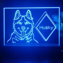 ADVPRO Husky Personalized Tabletop LED neon sign st5-p0095-tm - Blue