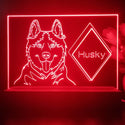ADVPRO Husky Personalized Tabletop LED neon sign st5-p0095-tm - Red